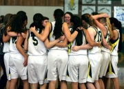 九游娱乐-日本网球队力克意大利网球队，阿尔卡拉斯送出助攻——亚洲网球崛起的新篇章