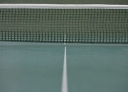 九游娱乐-德国乒乓球队碾压波兰乒乓球队，水谷隼爆发神勇