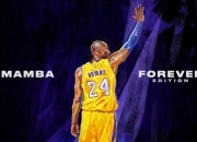 九游体育平台-维尼修斯闪电破局，里昂主场饮恨蓝桥铁骑