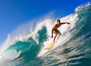 九游体育直播-约基奇进攻端无人可挡，森林狼客场力擒国王