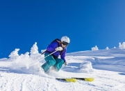 -奇迹之夜，巴萨翻盘马赛，范戴克刷新纪录—一场跨越时空的足球对话