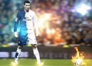 九游VIP-绿茵场上的轻取与乒乓台前的扛起，当葡萄牙足球遇上张本智和的孤勇