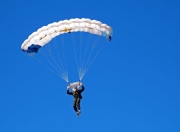 九游体育-冷门之夜的唯一剧本，瑞典战车碾过三狮，张继科一剑封喉