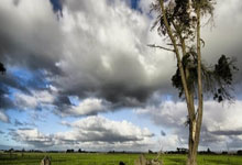 九游中国-关于柏林联合逆转获胜，豪取连胜势头的信息