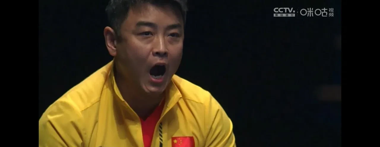 比利时乒乓球队爆冷德国乒乓球队，王皓爆发神勇的简单介绍