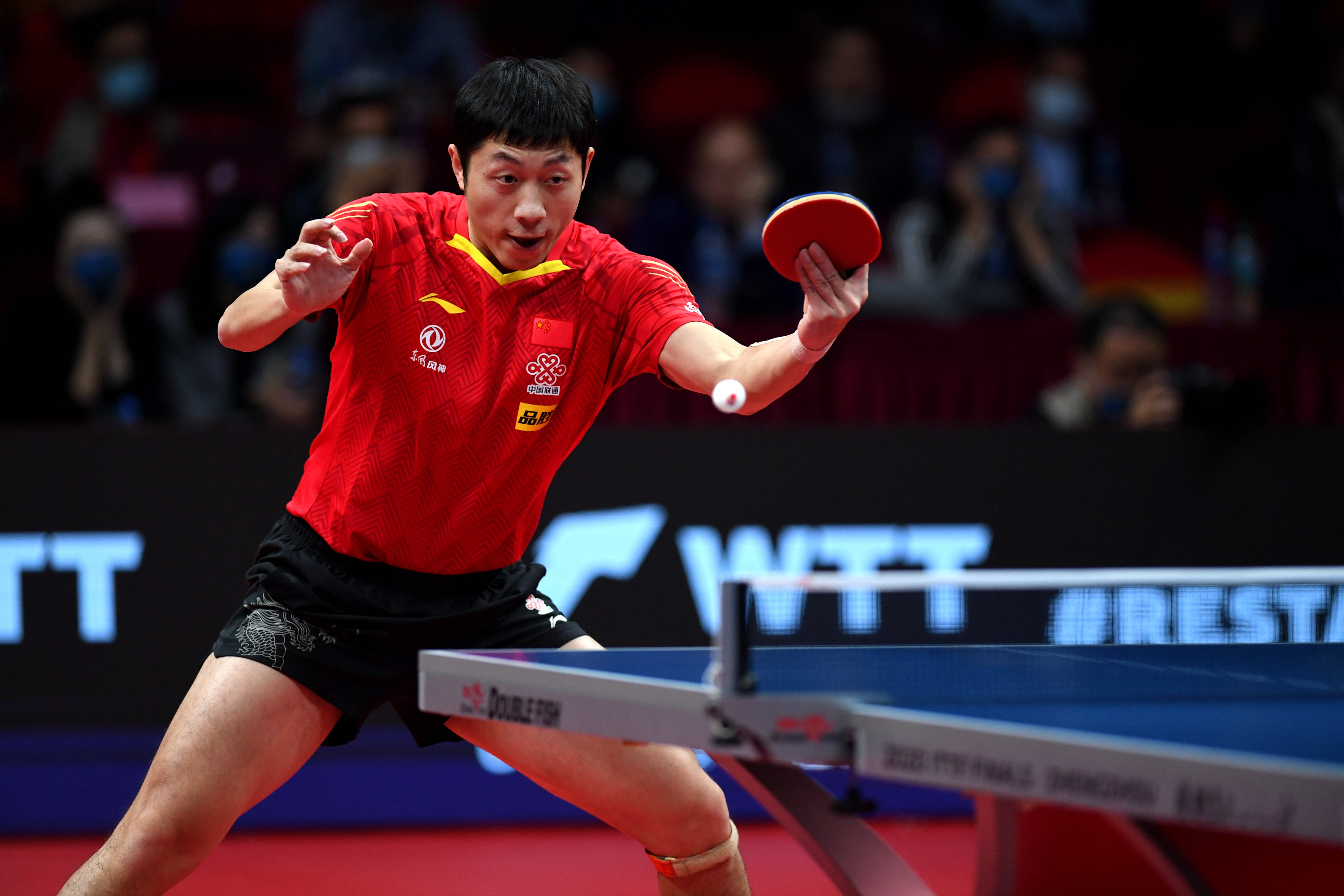 比利时乒乓球队强势波兰乒乓球队，许昕打破历史纪录的简单介绍