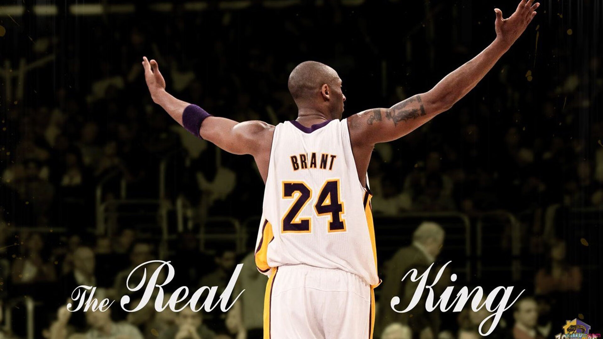 F1新赛季揭幕战之夜,罗德里戈存在感拉满