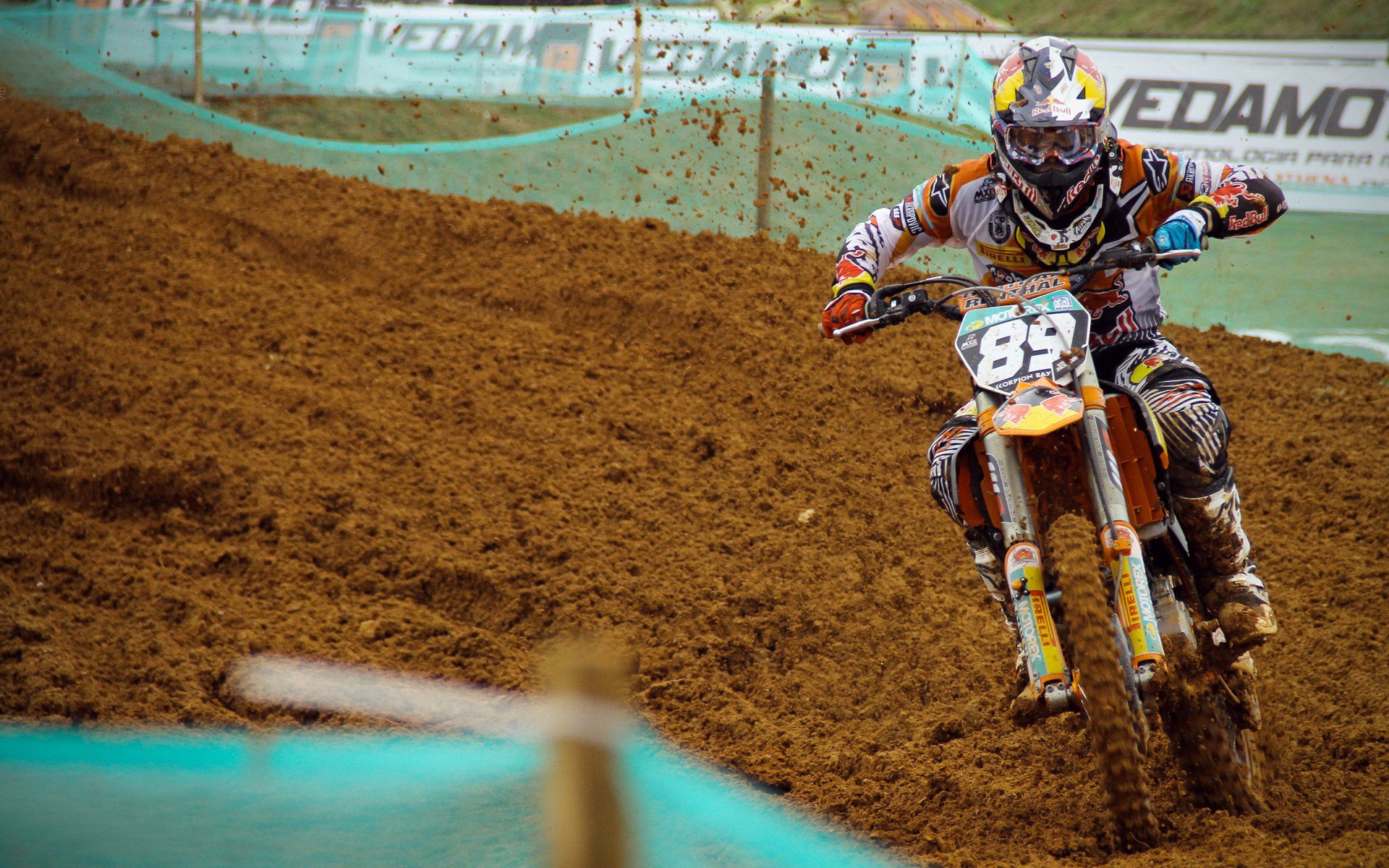 爱德华兹存在感拉满，浙江队如何带走鹈鹕？解析团队篮球的胜利密码