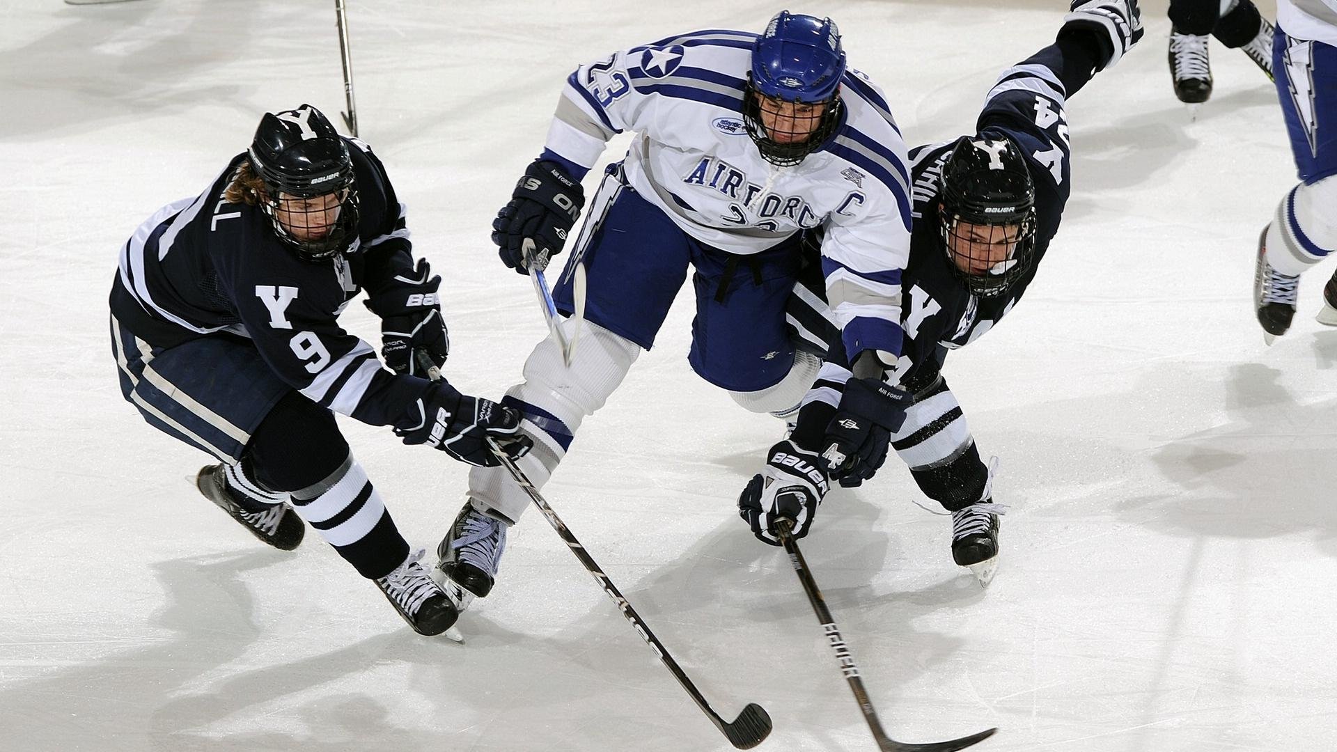 意甲焦点战？不，这是黄蜂的狂胜风暴！辽宁队遭遇意外滑铁卢